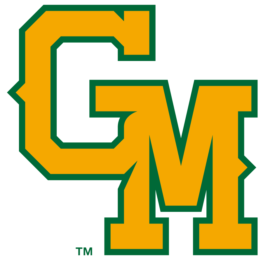 George Mason Patriots 2017-2024 Alternate Logo v2 diy iron on heat transfer